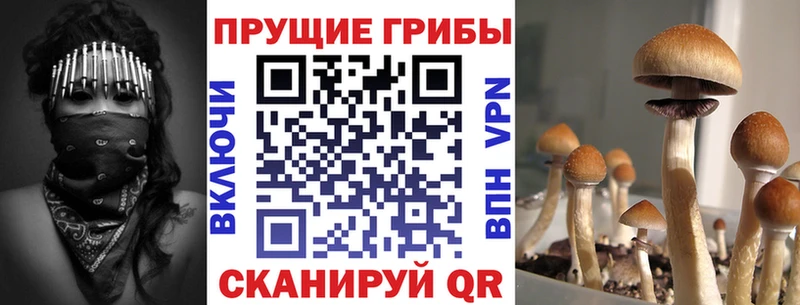 KRAKEN онион  Усинск  Галлюциногенные грибы прущие грибы  где купить наркоту 